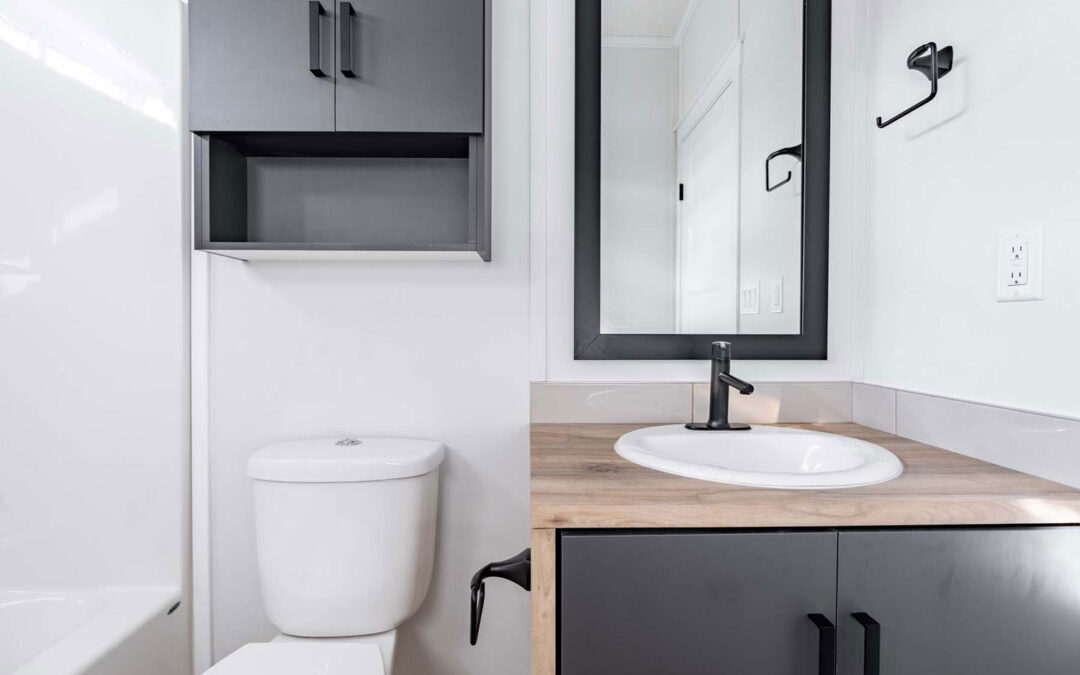 Vanity with Chiffon Countertop and Charcoal Cabinets